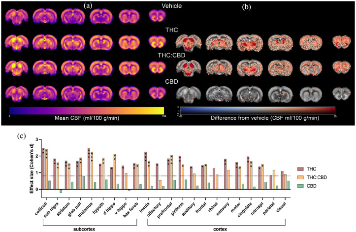 The image shows brain scans and graphs related to cerebral blood flow (CBF) in vehicle, THC, THC:CBD, and CBD groups. The brain scans show changes in CBF across different groups. The graphs represent mean CBF across selected ROIs and effect size differences from the vehicle. Significant effects were observed for drug and region, with a significant interaction between the two factors. Post hoc comparisons were performed to identify specific differences in CBF between groups.
