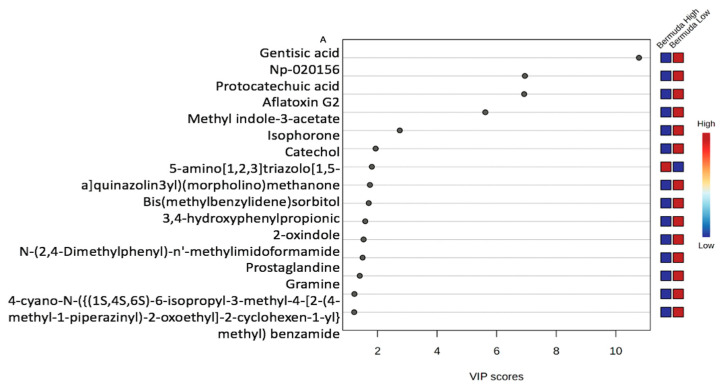 The VIP ((A) Bermudagrass and (B) Sunn Hemp) illustrates the top discriminatory metabolites of fecal samples from goats with high (>2000) or low (<2000) fecal egg counts while grazing on Sunn Hemp or Bermudagrass paddocks. Each group consisted of twelve samples. One outlier sample from the Sunn Hemp diet’s low parasite load group was excluded from the analysis.