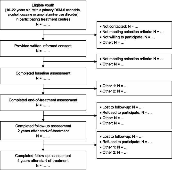 Flowchart of the Youth in Transition study