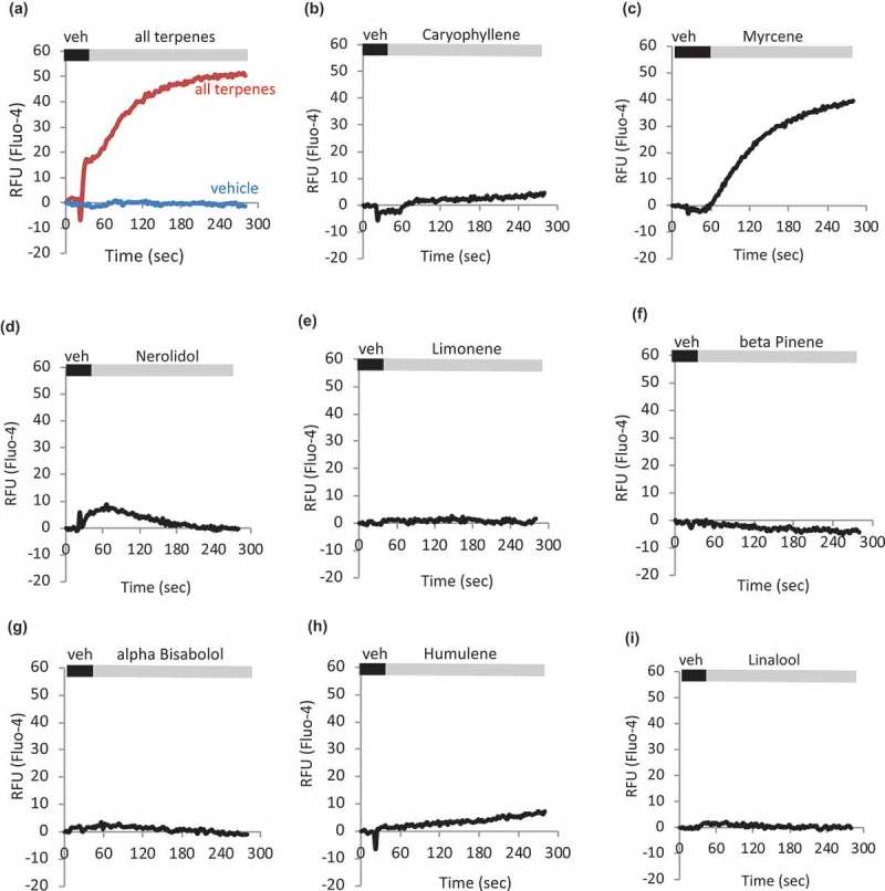 Individual terpenes contribute differentially to terpene mixture-induced calcium responses. a-l. HEK-TRPV1 were loaded with Fluo-4 and population-based calcium assays were conducted in the presence of 1mM external calcium. After a matched vehicle exposure (veh) period to establish a baseline, cells were stimulated at 20 s with the indicated terpenes (a. all terpenes, 10 μM; b-l. indicated terpene at 10 μM). m. Summary of a-l. Area under the curve analyses were performed followed by Student’s t-test. P-value relative to vehicle: Caryophyllene, Limonene, Bisabolol, Linalool, Humulene, Pinene, Camphene, Ocimene; p > 0.05. Myrcene, p = 0.00055. Nerolidol, p = 0.002. n. Relative contribution of Myrcene compared to response to mixture of all Terpenes. o. Area Under the Curve (AUC) analysis comparing Myrcene alone, Terpene mixture, and Terpene mixture without Myrcene (all compounds at 10 μM final) to matched vehicles. HEK-TRPV1 were loaded with Fluo-4 in the presence of 1mM external calcium. Calcium flux data were collected for 900 s and AUC calculated.