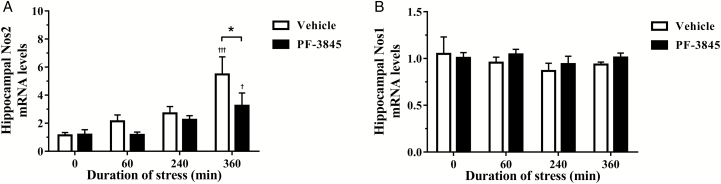 The effect of the fatty acid amide hydrolase inhibitor, PF-3845 (5 mg/kg, i.p. injection), on hippocampal (A) inducible nitric oxide synthase (Nos2) and (B) neuronal nitric oxide synthase (Nos1) mRNA expression from control and stressed rats (n=5–6/group). The relative expression was determined in the dorsal hippocampus collected from rats exposed to 0 (control), 60, 240, and 360 minutes of acute restraint stress. Data are presented as mean±SEM †P<.05 and †††P<.001 vs vehicle-treated group at 0 (control) minute; *P<.05 between vehicle- and PF-3845-treated groups at each respective time-point.