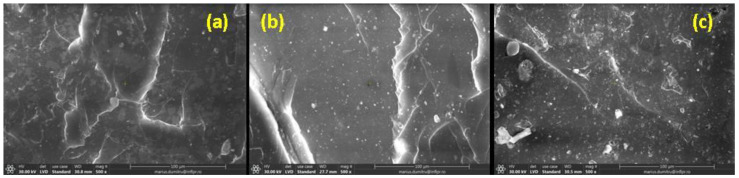SEM micrographs at of non-irradiated control sample—natural rubber (a) and irradiated at 150 kGy (b) and 450 kGy (c) (magnification of 500).