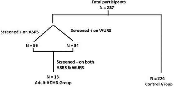 Adult ADHD and control group. ADHD – Attention deficit hyperactivity disorder; ASRS – Adult ADHD Self Report Scale v1.1; WURS – Wender Utah Rating Scale