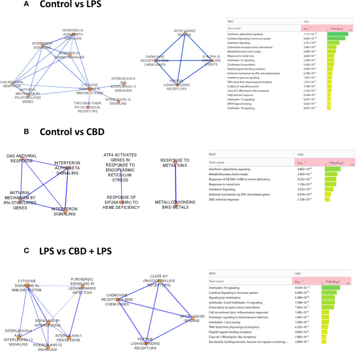 RNA-seq and Gene Ontology (GO) analysis revealed that CBD induced important alterations in several relevant signaling pathway of moDCs. GO classifications of the differentially expressed genes (DEGs) in LPS- and CBD- as well as LPS+CBD-treated moDCs based on reactome pathways. (A) Upregulated pathways in LPS-treated cells (mature moDCs) compared to vehicle-treated (immature) control moDCs. (B) Upregulated pathways in CBD-treated cells compared to vehicle-treated (immature) control moDCs. (C) Upregulated pathways in CBD and LPS-treated (mature) moDCs compared to LPS-treated (mature) moDCs. Nominal p values are shown to the right of the graphs. moDC, monocyte-derived dendritic cell; CBD, (-)-cannabidiol (10 μM); LPS, lipopolysaccharide (250 ng/ml).