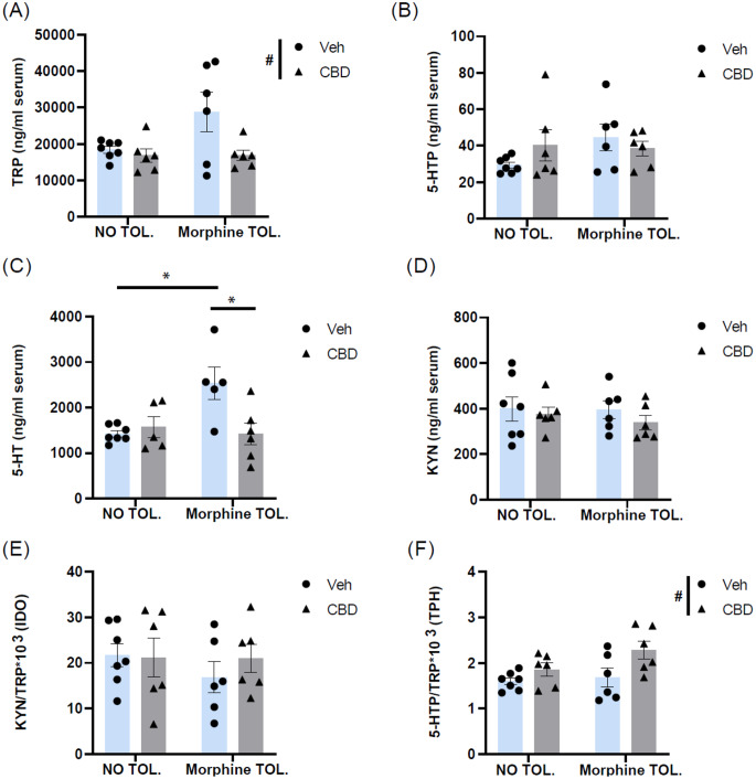 Effects of cannabidiol (CBD) treatment in sciatic nerve injured (SNI) rats tolerant (morphine TOL.) and non-tolerant (NO TOL.) to morphine on the metabolites of the tryptophan to serotonin and kynurenine pathways in the serum: panels show levels of (a) Tryptophan (TRP), (b) 5-hydroxytryptophan (5-HTP), (c) 5-hydroxytryptamine (5-HT), (d) Kynurenine (KYN), (e) Enzyme tryptophan hydroxylase (TPH) activity and (f) 5-HTP/TRP*1000 ratio as a proxy of the activity of the enzyme tryptophan 5-hydroxylase (TPH), and (g) KYN/TRP*1000 ratio as a proxy of the activity of the enzyme indoleamine 2,3-dioxygenase (IDO). Data are presented as mean ± SEM (N = 5–7 rats per group) with individual values indicated by dots (vehicle, veh) or triangles (CBD). *p < 0.05, two-way ANOVA followed by Bonferroni post hoc test. # p < 0.05, main effect of CBD treatment following two-way ANOVA