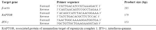 Primers sequences to evaluate the expression of RAPTOR, IFN-γ, and β-actin genes in lymph nodes cells.