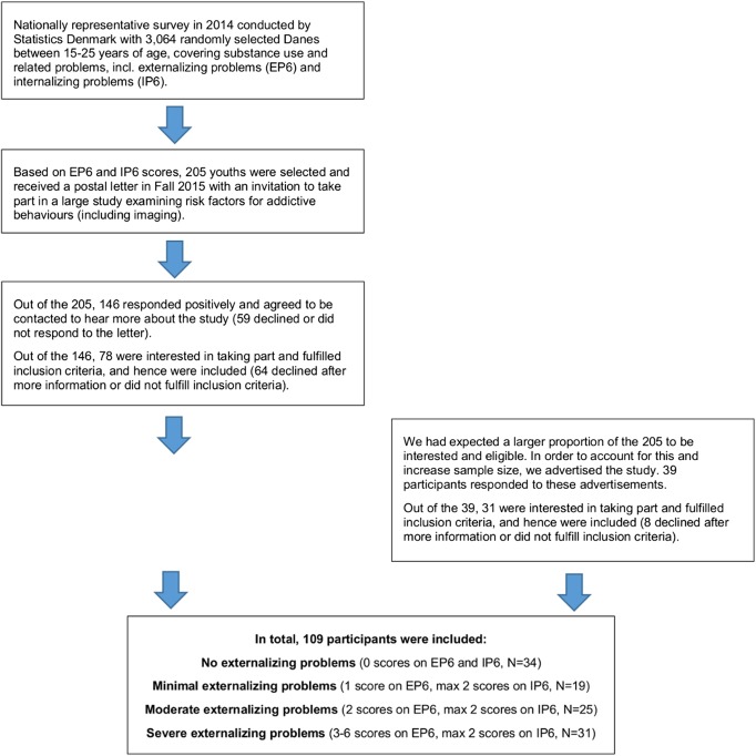 Flowchart of the inclusion process. Participants were selected based on their level of self-reported externalizing behavior problems (EP6, ranging from 0 to 6) and internalizing behavior problems (IP6, ranging from 0 to 6), to obtain a sample with a broad involvement in addiction-related behaviors. Participants were recruited from a nationally representative survey (N = 3,064, aged 15–25 years) conducted in 2014 by Statistics Denmark. To increase sample size, a small group of participants were recruited through advertisements. In total, 109 adolescents and young adults with varying levels of externalizing problems and varying levels of use were included in the study