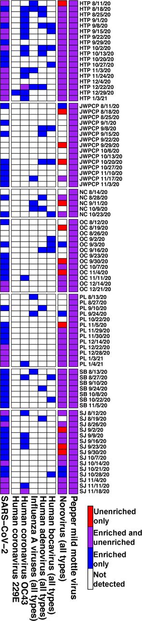 Heatmap indicating the presence or absence of reads mapping to each listed virus. Heat color denotes if a virus was detected in unenriched samples, respiratory virus enriched samples, both, or neither type of sample, and abbreviations signify WTP.