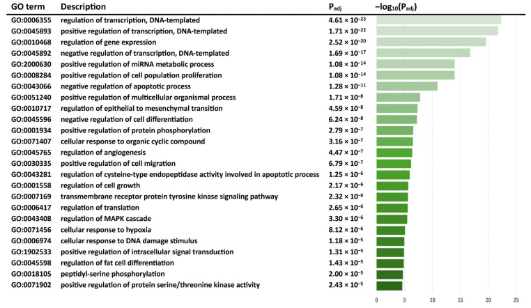 Top Gene Ontology Biological Process (GO BP) terms of differentially expressed miRNAs in SIV+/THC+ subjects compared with SIV+/THC− subjects in the included studies.