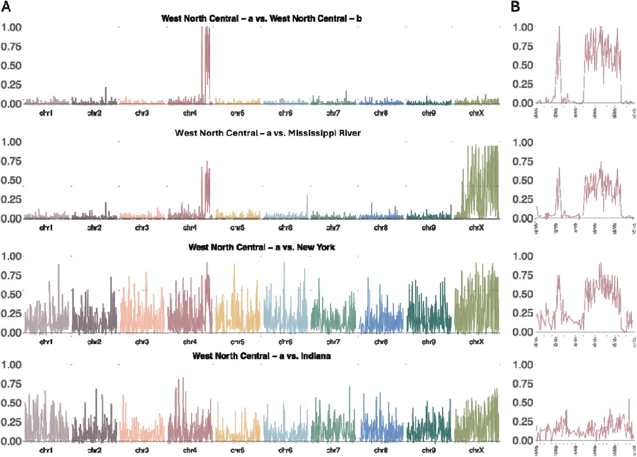 Genetic differentiation between all groups as compared to the “West North Central - a” group as determined by sliding window FST analysis of 100 kb bins across a) the entire genome and b) a highly differentiated region (65-90 Mb) on Chromosome 4. The red dashed lines indicates the top 5% of FST values for each comparision.