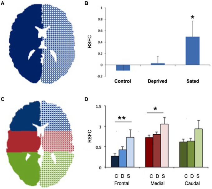 Increased interhemispheric connectivity in sated smokers. (A) The two seeds used to study right/left connectivity. Only one central section is shown. (B) Interhemispheric resting state functional connectivity (RSFC) in non-smokers, deprived smokers and sated smokers. *p < 0.02 vs. controls. (C) The 6 seeds used for frontal, medial and caudal interhemispheric connectivity assessment. Only one central section is shown. (D) Interhemispheric resting state functional connectivity (RSFC) in non-smokers (C, darker bars), deprived smokers (A, medium bars) and sated smokers (S, lighter bars) in frontal, medial, and caudal sections. **p < 0.005, *p < 0.05 vs. controls in the same area.