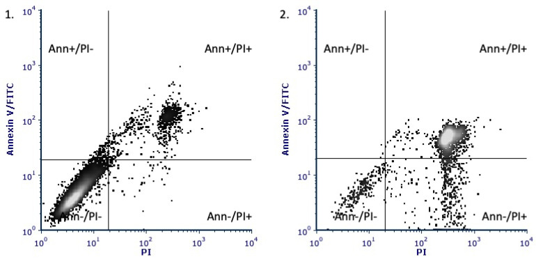 The evaluation of the type of NADA-induced ectopic stromal cell death with annexin V-FITC/PI assay. A. Representative plots of fluorescence distribution in ectopic stromal cells incubated with DMSO (1) or AA-DA (2).