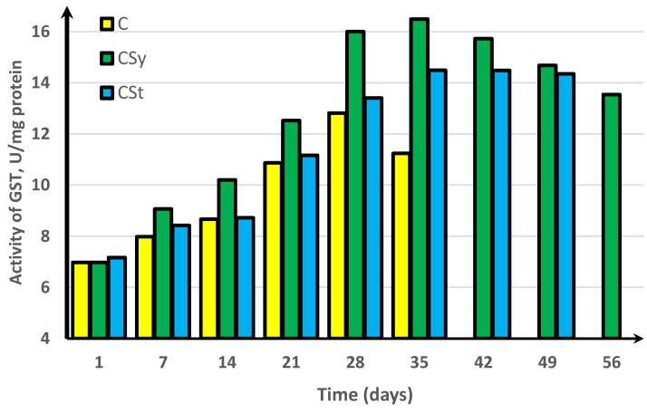 Glutathione S-transferase (GST) activities in workers’ hemolymph along with the aging processes, after using two methods of supplementation with hemp extract. C, control (pure sugar syrup); CSy, hemp extract in syrup; CSt, hemp extract on strips (two-way ANOVA: supplementation method: F(5,1078) = 40,402, p = 0.0000, se ± 0.010431 (C), se ± 0.008517 (CSy), and se ± 0.009657 (CSt); days of supplementation: F(5,1078) = 40,402, p = 0.0000, se ± 0.014751 (1st–35th days), se ± 0.025550 (42nd day and 56th day), and se ± 0.018066 (49th day); supplementation method × days of supplementation F(11,1078) = 1416.0, p = 0.0000, and se ± 0.025550). The chart shows statistical averages. The standard deviations for the means in this plot ranged from 0.04158 to 0.31201.