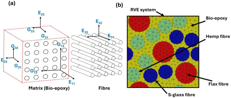 Composite structure and RVE for FEA. (a) Tensor notation of FRC and (b) homogenised RVE.