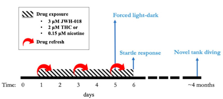 Experimental timeline for developmental exposure to 1-pentyl-3-(1-naphthoyl)indole (JWH-018), delta-9-tetrahydrocannabinol (THC), and nicotine. The behavioral tests performed are represented in light blue.