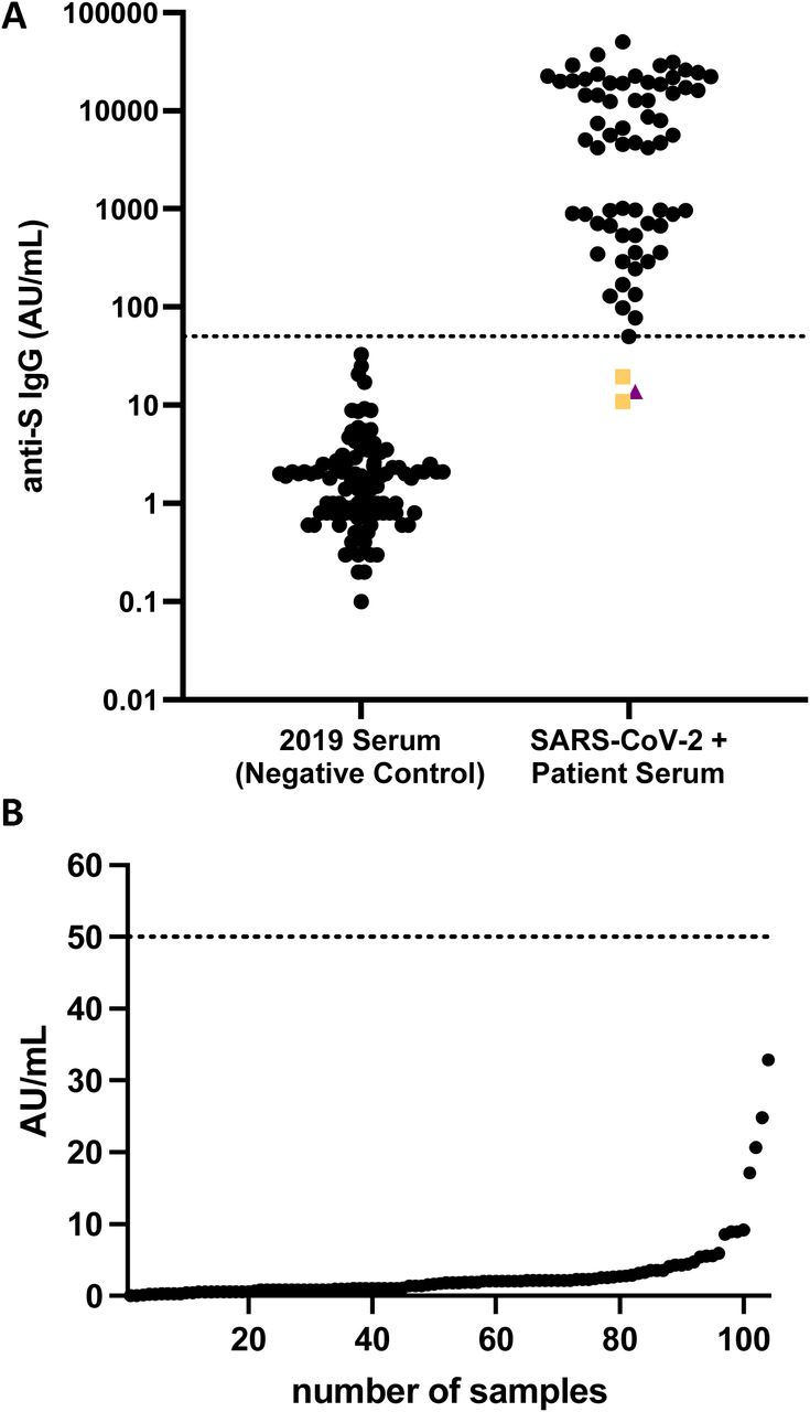 AdviseDx SARS-CoV-2 IgG II values for patients with a PCR-confirmed SARS-CoV-2 infection who were >14 days post symptom onset or >10 days following first positive PCR result and control sera collection prior to the SARS-CoV-2 pandemic (A). The dotted line represents the assay positive cutoff (50 AU/mL) set by the manufacturer. Gold squares indicate patients who seroconverted at 13 and 18 days following their first positive PCR result. Purple triangle represents a severely ill COVID-19 patient who died 17 days post-symptom onset. 104 serum samples obtained prior to the emergence of SARS-CoV-2 were analyzed for assay specificity (B). The median value of these negative controls was 1.8 AU/mL (range: 0-32.9). The dotted line represents the positive threshold.