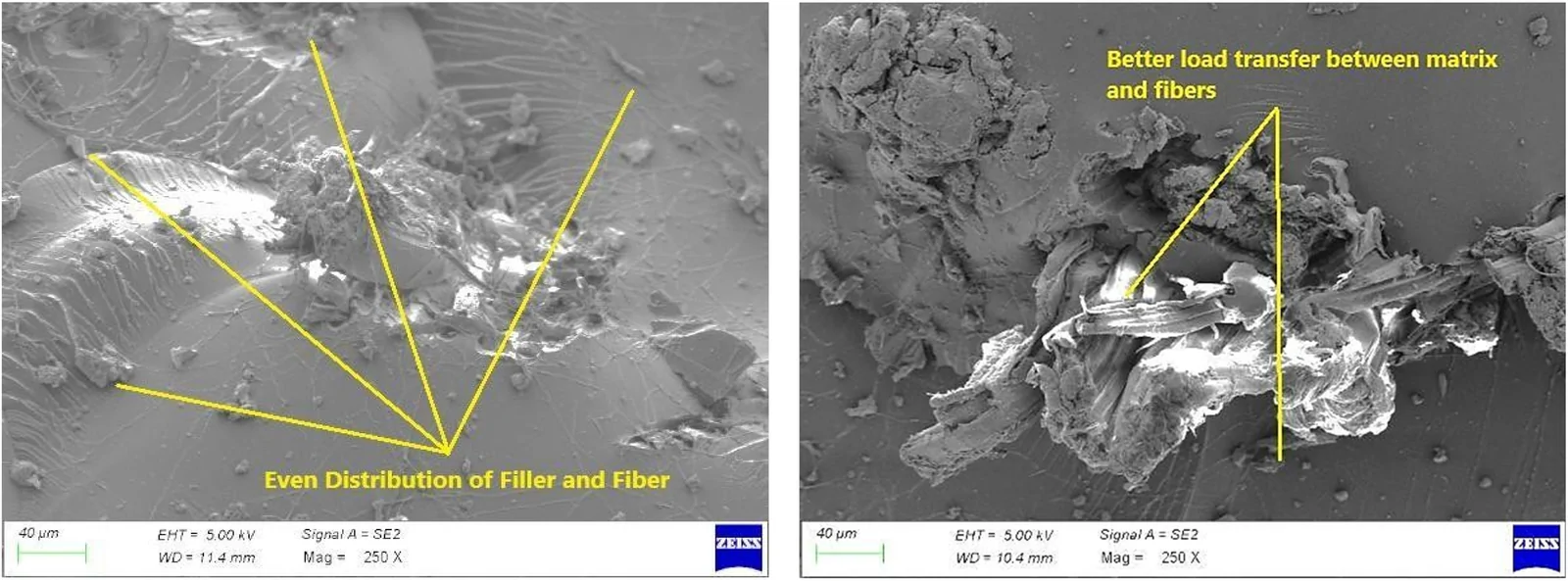 SEM images of 25% SG-HP + E/15%AA.