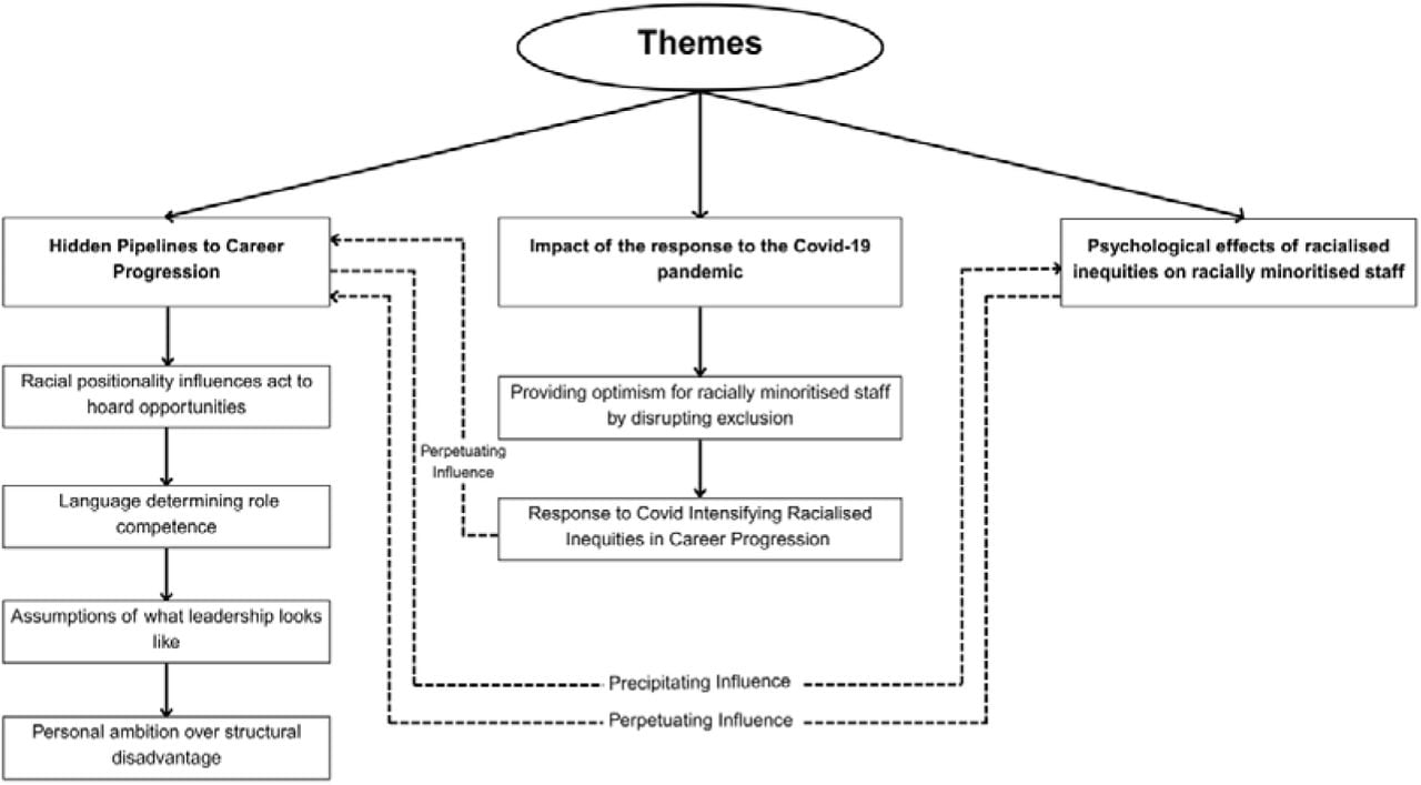 Diagrammatic illustration of themes and subthemes.