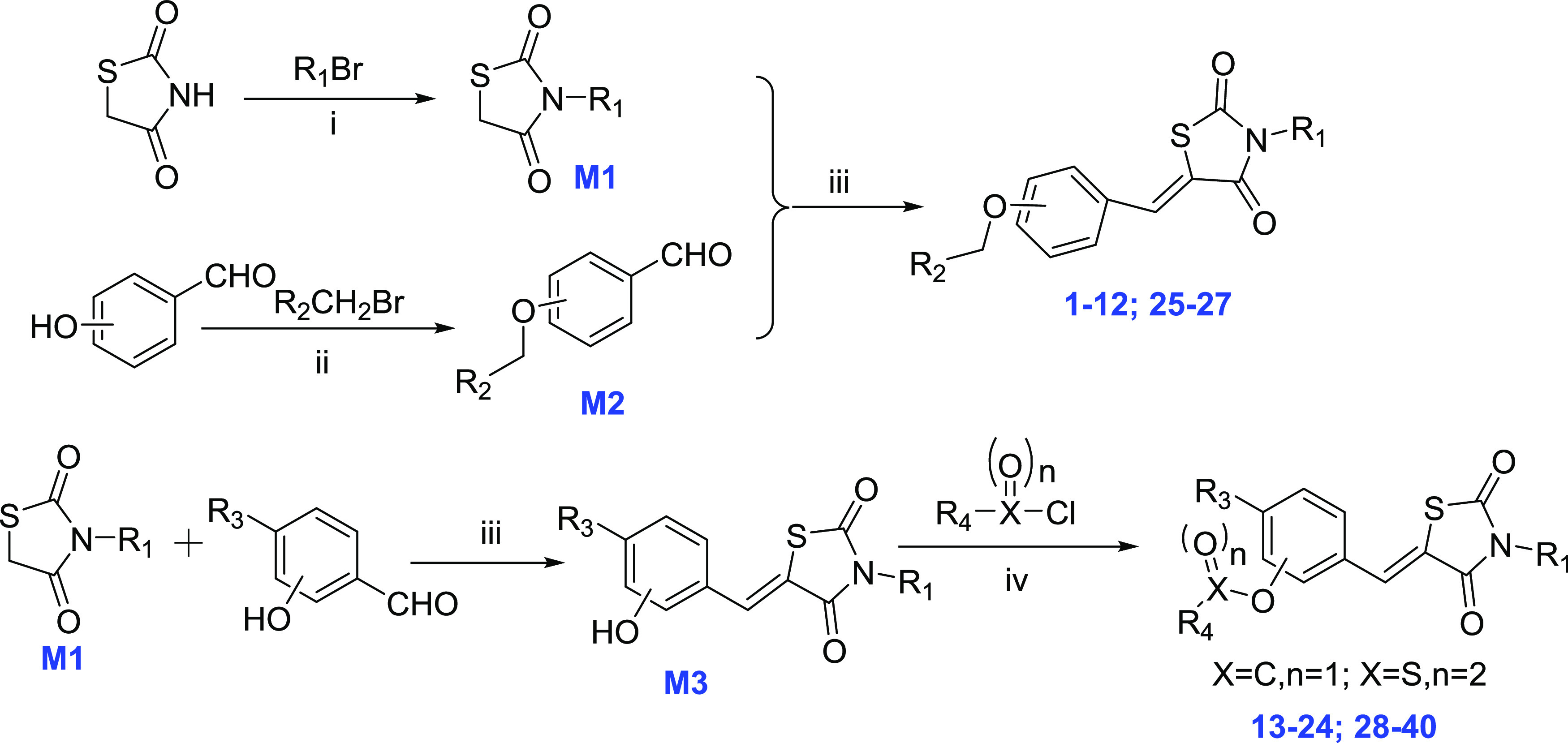 General Synthesis of Compound SeriesReagents and conditions: (i) KOH, DMF, reflux, 4 h; (ii) Cs2CO3, DMF, 80 °C, 6 h; (iii) 4-methylpiperidine acetate, toluene, reflux, 6 h; and (iv) Et3N, CH2Cl2, rt, 4 h.