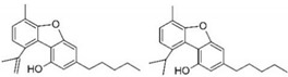 pharmaceutics-13-01823-i011.jpg