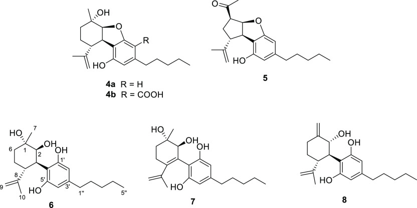 Structures of selected phytocannabinoids obtained as constituents of the mother liquors obtained from the crystallization of CBD (2).