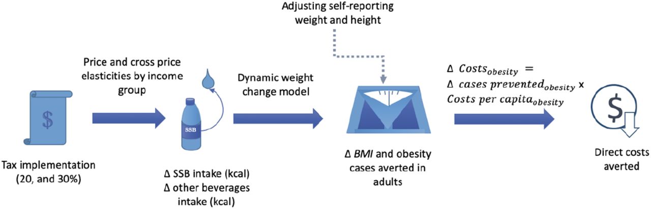 Representation of the simulation strategy.Data sources: POF 2017/2018, PNS 2019, Hall et al.2011, Nilson, 2020, Ward. 2019. Brazilian Institute of Geography and Statistics (IBGE).