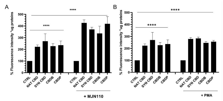 (A) Intensity quantification by a fluorescence microplate reader for DCFH-DA staining in MCF-7 cells after 24 h treatment with CBD (10 μM), and MJN110 (1 μM) + CBD homologs. Values are the mean ± SD. **** p < 0.0001 compared with controls. (B) Intensity quantification by a fluorescence microplate reader for DCFH-DA staining in MCF-7 cells, including control samples (DMSO) and cells treated for 24 h with CBD (10 μM), and PMA (100 nM) + CBD homologs. Values are the mean ± SD. **** p < 0.0001 compared with controls.