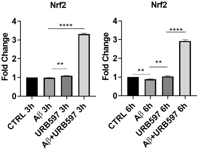 mRNA expression of Nrf2 was evaluated by qRT-PCR at 3 h and 6 h. Data are shown as mean ± SD from three independent experiments performed in triplicate. Expression profiles were determined using the 2−ΔΔCT method. ** p < 0.01, **** p < 0.0001.