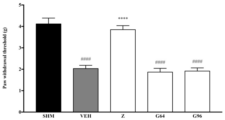 The effect of PPAR antagonists’ co-administration with a vehicle on mechanical allodynia in CCI-induced neuropathic pain mice. Each column represents the mean ± SEM, n = 6 mice per group. #### p < 0.0001 as compared to the sham group and **** p < 0.0001 as compared to the vehicle group. Sham (SHM), Vehicle (VEH: 10 mL/kg, i.p.), Zerumbone (Z: 10 mg/kg, i.p.), Antagonists; GW6471, PPARα (G64: 1 mg/kg, i.p.), GW9662, PPARγ (G96: 1 mg/kg, i.p.).