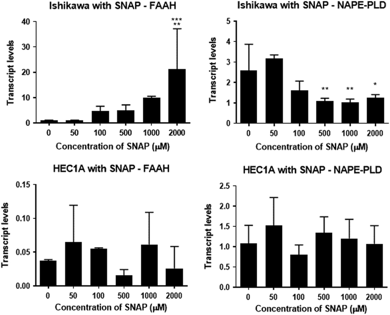 The effect of SNAP on FAAH and NAPE-PLD mRNA expression in receptive and non-receptive endometrial cell lines. Ishikawa cells (upper panel) and HEC-1A cells (lower panel) were exposed to the indicated concentrations of SNAP for 48 h. The amount of FAAH and NAPE-PLD mRNA present was determined after RT and by using gene-specific TaqMan based PCR (see Materials & Methods section). For each sample, FAAH and NAPE-PLD amplicon levels were then normalised against those for the reference gene GAPDH. The data are presented as the mean ± s.d. relative amounts of FAAH (n = 6) or NAPE-PLD (n = 6) with the error bars not shown when encompassed by the bar. One-way ANOVA (P < 0.0001) revealed that FAAH transcript levels in Ishikawa cells treated with 2000 µM SNAP was significantly higher than 0, 50, 100 and 500 µM SNAP (***P < 0.001 for 0 and 50 µM, **P < 0.01 for 100 and 500 µM SNAP; Tukey’s multiple comparison test). By contrast, SNAP had no significant effect on FAAH transcript levels in HEC-1A cells (P > 0.05, Tukey’s multiple comparison test). Similarly, in Ishikawa cells, 500, 1000 and 2000 µM SNAP caused a significant decrease in NAPE-PLD transcript levels (**P < 0.01 for 500 and 1000 µM, *P < 0.05 for 2000 µM; Tukey’s multiple comparison test) when compared to the untreated control and 50 μM SNAP. Similar to the data for FAAH expression, SNAP had no effect on NAPE-PLD transcript levels in HEC-1A cells (P > 0.05).