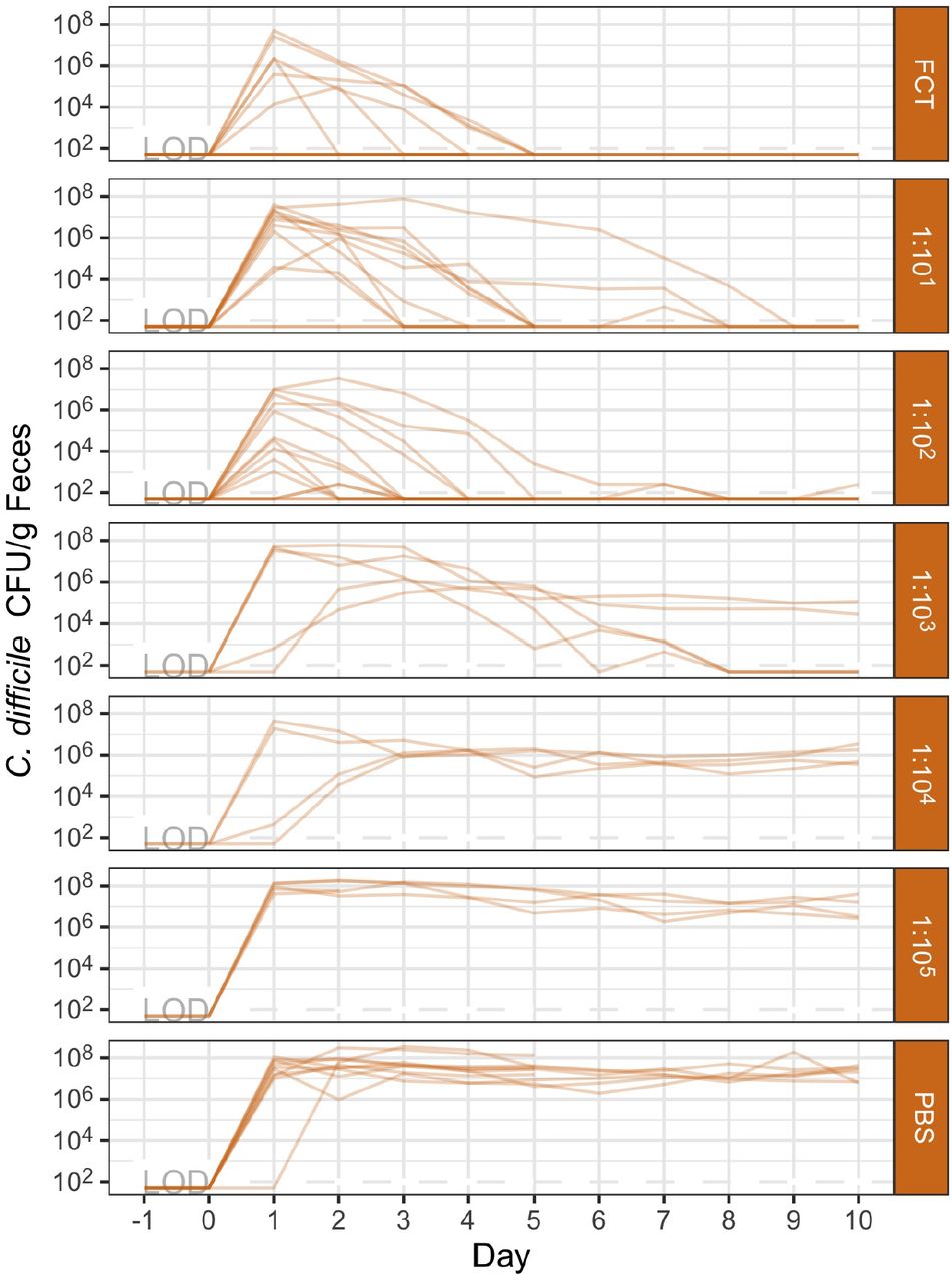 C. difficile colonization dynamics in streptomycin-treated mice across all prophylactic transplant treatments.C. difficile CFU per gram of feces for streptomycin-treated mice orally gavaged PBS, fecal community transplant (FCT), or diluted FCT (1:10-1:105) prior to the C. difficile infection. Each semi-transparent line represents an individual mouse. Mice challenged with 103 C. difficile 630 spores on day 0. Lines grouped by the transplant treatment received. LOD = limit of detection.