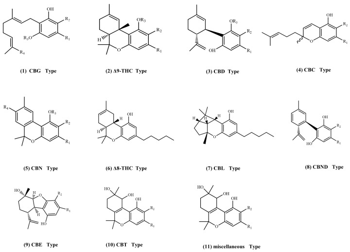 Structural equation of cannabis phenolic compounds.