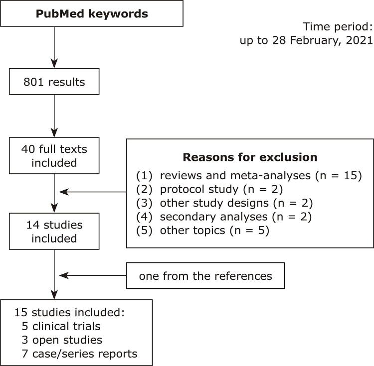 Schematic flow diagram illustrating literature search, articles excluded, and articles included in the review.