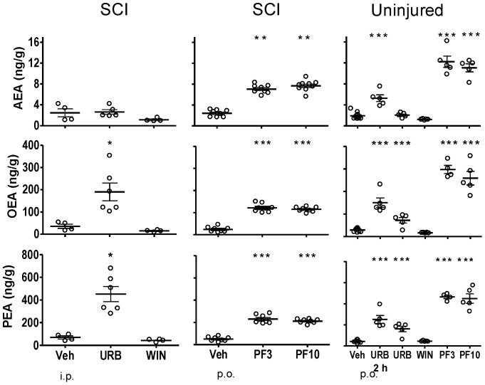 Fatty acid amide concentrations in brain following treatment with FAAH inhibitors, WIN 55,212-2 and vehicle in SCI and uninjured rats.Rats were treated with either URB597 (URB; 3 mg/kg, i.p.), WIN 55,212-2 (WIN; 3 mg/kg, s.c.) or vehicle (Veh; 1.5 ml/kg, i.p.) for seven days and euthanized four hours following the last treatment. One group of URB597 rats were euthanized two hours (2 h) following a single treatment. Rats that received PF-3845 (PF3, PF10; 3, 10 mg/kg, p.o) or vehicle (Veh, p.o.) were treated once and euthanized four hours following dosing. Levels of AEA, OEA and PEA from each rat are shown, the thick horizontal line is the mean and the thin horizontal lines are the S.E.M. n = 4–10/group. * p<0.05, **p<0.01, ***p<0.001 vs. vehicle (Student's t-test).