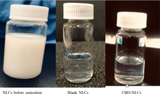 NLCs formulation and CBD-NLCs