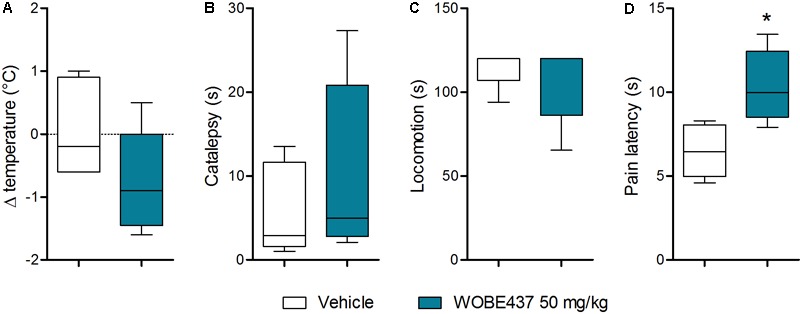 Oral administration of 50 mg/kg WOBE437 did not elicit all the effects in the tetrad test in BALB/c male mice. (A) Change in body temperature (B) latency of catalepsy, (C) locomotion, and (D) latency of pain response 1 h after gavage administration of vehicle or 50 mg/kg of WOBE437. Data show median percentile 25, percentile 75 minimum and maximum of five mice. Data were compared using Mann–Whitney test. ∗p < 0.05 vs. vehicle.