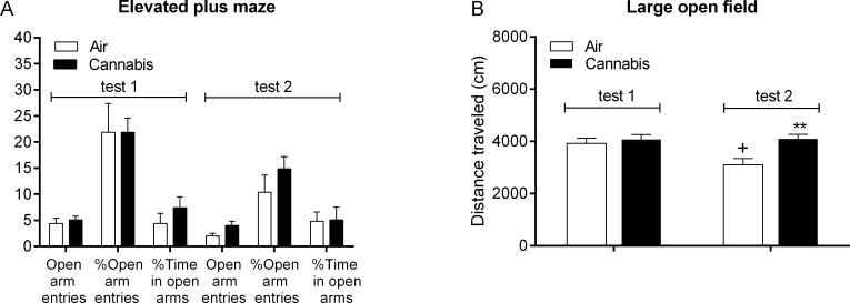 Behavior in the elevated plus maze and large open field after cannabis smoke exposure.The effect of cannabis smoke on the number of open arm entries, % open arm entries, % time in the open arms in the elevated plus maze (A) and distance traveled in the large open field (B) was investigated 48 h (test 1) and immediately after smoke exposure (test 2). B: Asterisks (** p<0.01) indicate an increase in the distance traveled compared to the air group during the second test, and the plus sign (+ p<0.05) indicates a decrease in the distance traveled compared to the same group during the first test. N = 10 per group. Abbreviation: Air, air-control group. Data expressed as means ± SEM.