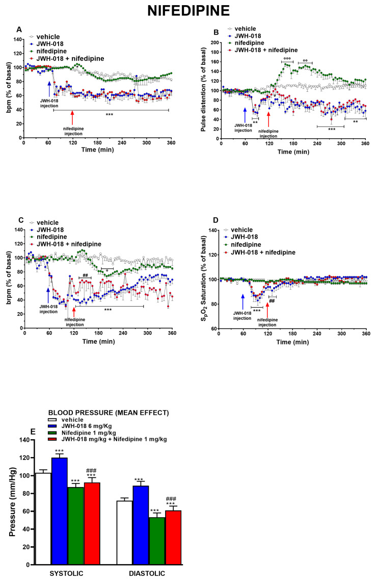Effect of systemic administration of JWH-018 (6 mg/kg), nifedipine (1 mg/kg), or JWH-018 followed by nifedipine on heart rate (A), pulse distention (B), breath rate (C), and arterial saturation (D). Data are expressed as percentage of basal values in the form Mean ± SEM of eight different evaluations for each group. Statistical analysis was performed by two-way ANOVA followed by Bonferroni’s test for multiple comparisons. ** p < 0.01, *** p < 0.001, JWH-018 versus vehicle. ## p < 0.01, JWH-018 versus JWH-018 + nifedipine. ° p < 0.05, °° p < 0.01, °°° p < 0.001, JWH-018 nifedipine versus vehicle. Changes in systolic and diastolic blood pressure (E). Data are expressed as absolute values (mmHg) of average effect. Statistical analysis was performed by one-way ANOVA followed by Bonferroni’s test for multiple comparisons. *** p < 0.001 versus vehicle. ## p < 0.01 JWH-018, ### p < 0.001 versus JWH-018 + nifedipine.