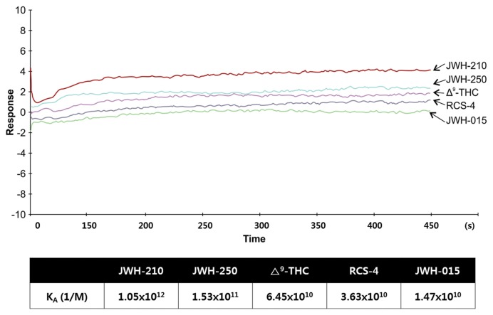 Competitive binding curves for Δ9-THC, JWH-210, JWH-250, JWH-015, and RCS-4 to CB1 over-expressing cell membranes using the conventional isotopic receptor binding assay. Data are means ± standard errors.