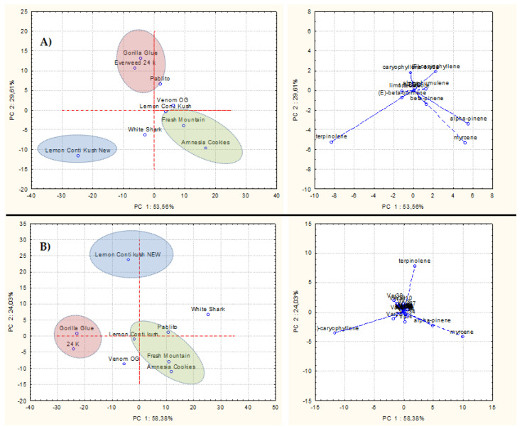 (A) Representation of PCA score and loading plots reporting hemp varieties and components found in the 9 EOs. (B) Representation of PCA score and loading plots depicting hemp varieties and volatiles extracted by SPME.