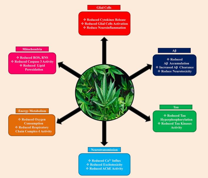 Neuroprotective effects of cannabinoids against Alzheimer’s disease.