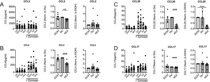 AEA reduces chemokine production in Zymosan-activated Macrophages. Human primary macrophages were treated with ethanol (EtOH), Diclofenac and EtOH (Dic), or and AEA (10 µM) with Diclofenac (AEA), and were subsequently stimulated with Zymosan for 6 h. The concentrations of CCL2 (A), CCL4 (B), CCL20 (C), and CCL17 (D) were determined by LegendPlex assay. Besides raw data, normalized data of Zymosan-activated cells is shown. Data are from three independent experiments, with at least 2 donors each. Each data point corresponds to a single donor (n = 7). Data are shown as mean ± SEM. *p < 0.05, **p < 0.01, ***p < 0.001, ****p < 0.0001; p-values were calculated using two-way ANOVA or one-sample t-test.