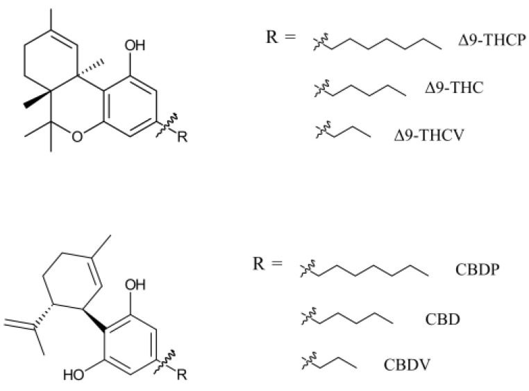 THC- and CBD-based phytocannabinoids with various alkyl chain sizes. Phytocannabinoids have multiple enantiomers/diastereomers. Only natural enantiomers are shown in this figure and used in this study.