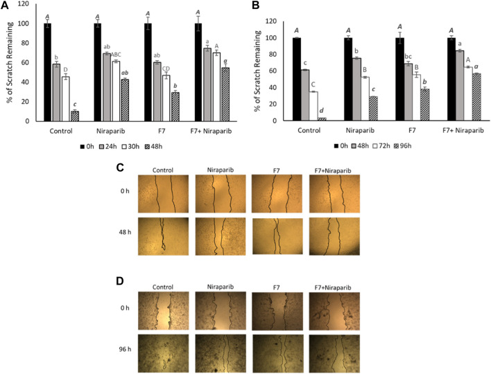 Results of the scratch-wound assay for cell migration, indicating the effects of niraparib (6.1 μg/mL), F7 (11.4 μg/mL) or niraparib + F7 (6.1 μg/mL+11.4 μg/mL, respectively) on Caov3 (A, C) and niraparib (14.4 μg/mL), F7 (14.1 μg/mL) or niraparib + F7 (14.4 μg/mL+14.1 μg/mL, respectively) on OVCAR3 (B, D) cell lines. Doses of treatments are based on (Shalev et al., 2022). Control is vehicle control (0.35% DMSO+0.5% v/v methanol for Caov3 and 0.7% DMSO+0.7% v/v methanol for OVCAR3). Percent clear scratch area is presented as mean; Error bars indicate ± standard error (n = 3) (A, B). One-way ANOVA was performed and means without a common letter denote expression levels that are significantly different by the Tukey-Kramer honest significant difference (HSD; p ≤ 0.05). Representative images of the scratch-wound assay in Caov3 (C) and OVCAR3 (D) cell lines.