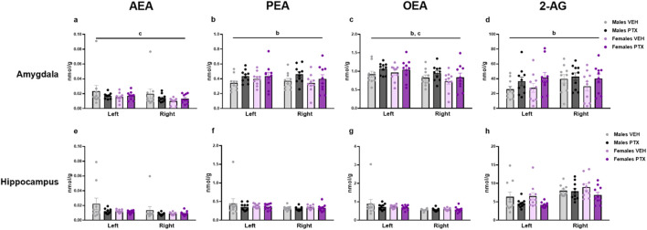 Investigation of levels of endocannabinoids and related N-acylethanolamines (nmol/g of tissue) in male and female rats following intraperitoneal injection of VEH or PTX in the amygdala (A–D), and hippocampus (E–H). Three-way ANOVA (factors: sex, treatment, side). Data expressed as mean ± S.E.M (n = 10 per group). b = significant effect of treatment; c = significant effect of side in ANOVA.