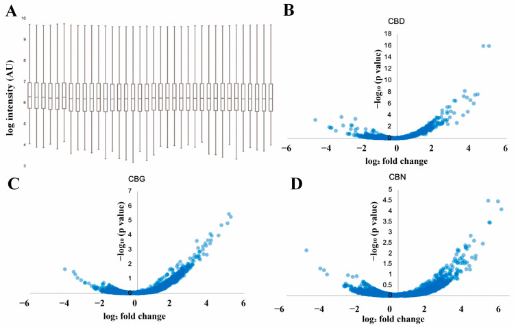 Quantitative proteomics analysis of differential protein expression in KKU-452 cells following treatment with CBD, CBG, and CBN. (A) Log-intensity distribution of protein quantification across all samples; (B–D) Volcano plots showing the log2 fold change (x-axis) versus the −log10 p-value (y-axis) for upregulated and downregulated proteins in KKU-452 cells treated with 16 µM of CBD, CBG, and CBN, respectively, compared with control.