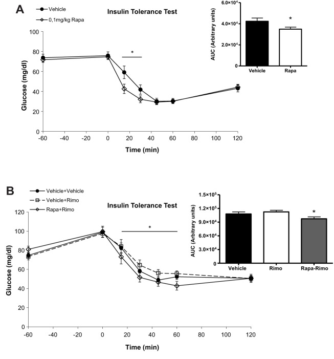 0.1 mg/kg rapamycin increases insulin sensitivity alone and in combination with rimonabant. (A) ITT in C57BL/6 mice treated with vehicle and 0.1 mg/kg rapamycin. ANOVA with repeated measures shows significant differences between the glucose curve for rapamycin and vehicle (*P<0.05). Insert: quantification of glucose AUC in vehicle and rapamycin-treated mice. *P<0.05; one-way ANOVA. Two independent experiments, n=7-8 mice each experimental condition. (B) ITT in C57BL/6 mice treated with vehicle, rimonabant at 3 mg/kg and rapamycin at 0.1 mg/kg+rimonabant at 3 mg/kg. ANOVA with repeated measures shows significant differences between the glucose curve for rimonabant and rapa+rimo (*P<0.05). Insert: quantification of glucose AUC in vehicle, rimonabant- and rapa+rimo-treated mice. *P<0.05 versus rimonabant; one-way ANOVA. Two independent experiments, n=7-8 mice each experimental condition.