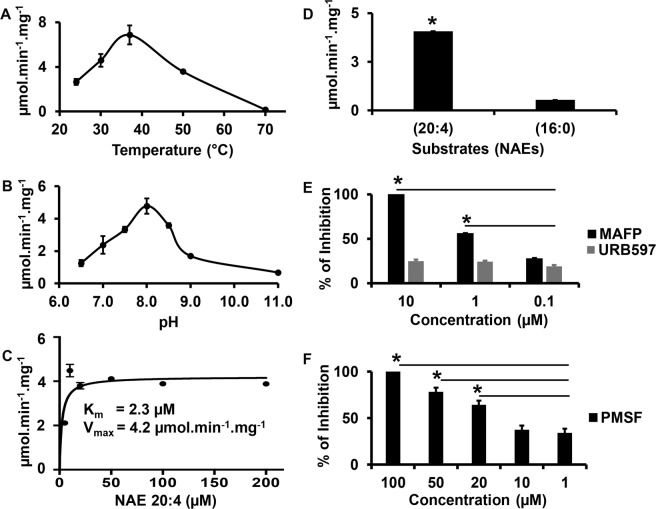 Amidohydrolase activity of PpFAAH1. Amidase activity at varying (A) temperature and (B) pH. (C) Saturation kinetics of PpFAAH1 with anandamide (NAE 20:4) as substrate; Km and Vmax values were calculated using Prism GraphPad. (D) Activity of PpFAAH1 with substrates anandamide (NAE 20:4; polyunsaturated) and palmitoylethanolamide (NAE 16:0; saturated). (E) and (F) The percentage of inhibition PpFAAH1 activity against anandamide by inhibitors - methyl arachidonyl fluorophosphonate (MAFP), [3-(3- carbamoylphenyl) phenyl] N-cyclohexyl carbamate (URB597) and phenylmethane sulfonyl fluoride (PMSF). Data represents mean values with standard deviation of three biological replicates. Statistical analysis (t-test) was performed using Prism GraphPad 8.0. The asterisk (*) sign and line (-) on top of the bar graphs represent significant difference relative to control without inhibitor (D–F).