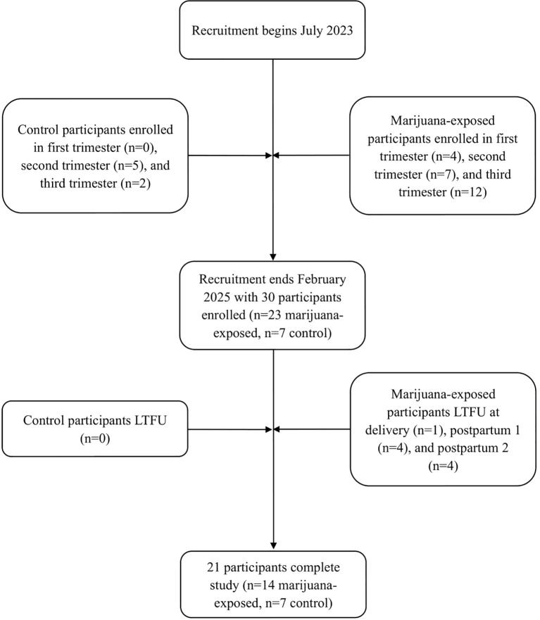 Flowchart of study recruitment starting in July 2023. Control group has seven participants enrolled and the marijuana-exposed group enrolled twenty-three participants across all trimesters. Recruitment ends in February 2025 with thirty total participants. No control participants are lost-to-follow-up, while the marijuana-exposed group loses nine at various stages. Twenty-one participants complete the study: fourteen marijuana-exposed and seven control.