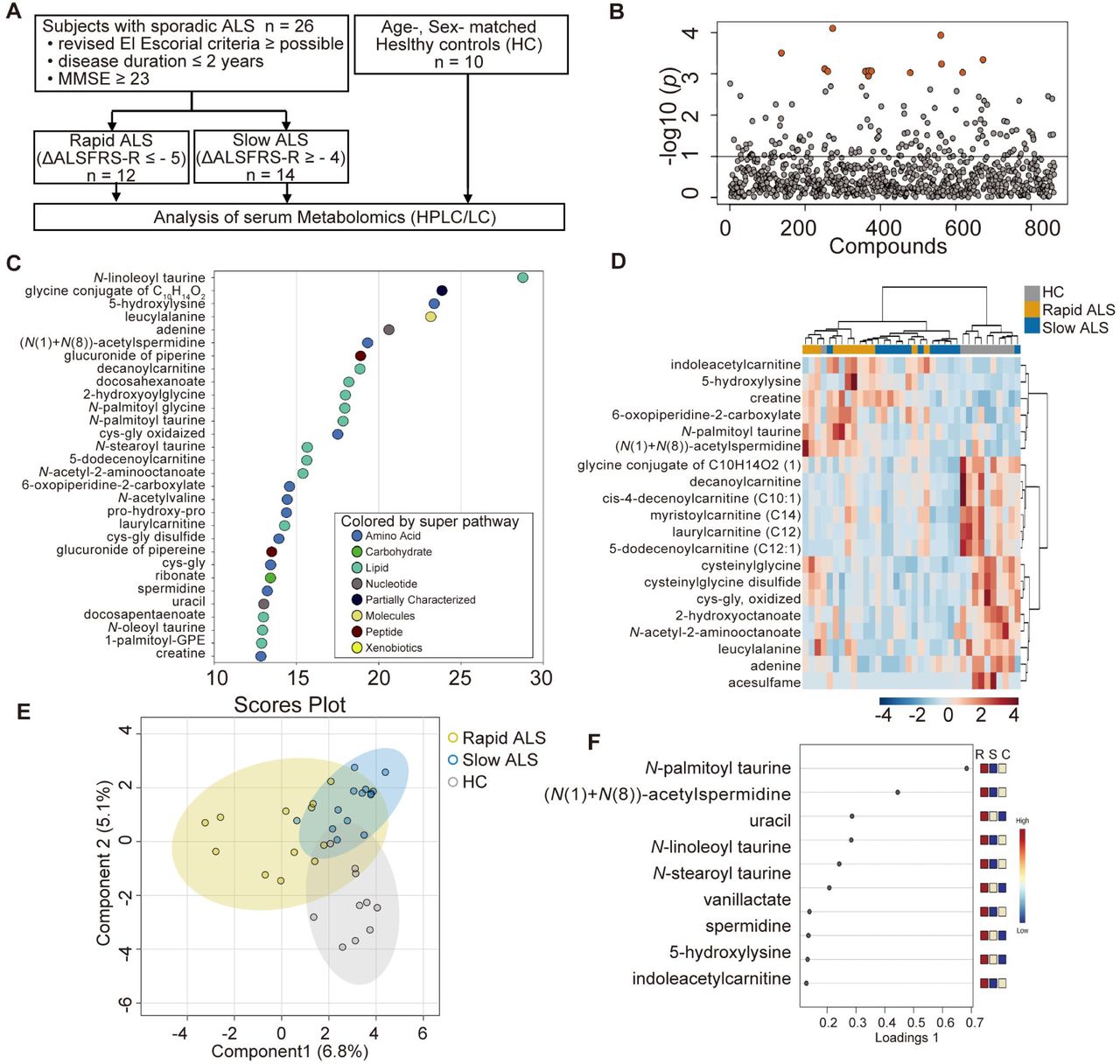 Metabolomics analysis of patients with ALS and healthy individuals.(A) Flow chart of metabolome analysis. We included subjects with definite, probable, or possible ALS that met the revised El Escorial criteria and had disease duration less than 2 years and an MMSE score of 23 or higher. Subjects with ALS were divided into rapidly progressive (Rapid ALS) and slowly progressive (Slow ALS) groups according to the median longitudinal change in ALSFRS-R from the first evaluation to 6 months. We also included 10 age– and sex-matched healthy controls. (B) Manhattan plot of metabolomics by UPLC‒MS/MS. Serum metabolites with different levels among Rapid ALS, Slow ALS, and healthy controls determined by MetaboAnalyst 5.0 are shown in orange circles (FDR > 0.1, one-way ANOVA). (C) Top 30 metabolites that discriminate among Rapid ALS, Slow ALS, and healthy controls by random forest classification. The metabolites were ranked according to their mean decrease accuracy. (D) Heatmap analysis of the top 20 metabolites identified by one-way ANOVA. (E) Sparse partial least squares discriminant analysis (sPLS-DA) plots by MetaboAnalyst 5.0 to discriminate Rapid ALS, Slow ALS, and healthy controls. (F) Loading plots of the top 10 metabolites by sPLS-DA shown in (E).